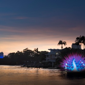 Urchin sunset - Surfers Paradise, Australia